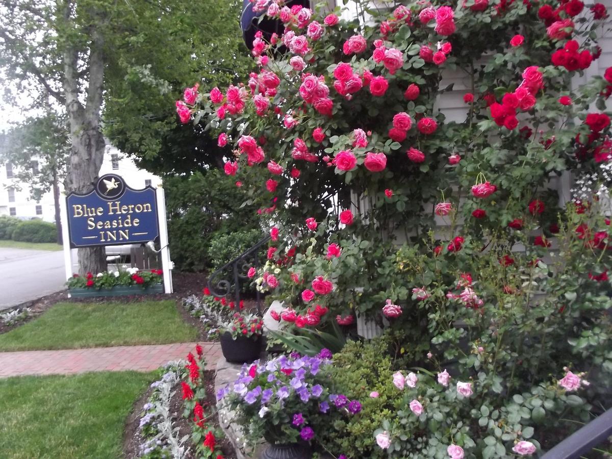 Blue Heron Seaside Inn Boothbay Harbor Extérieur photo